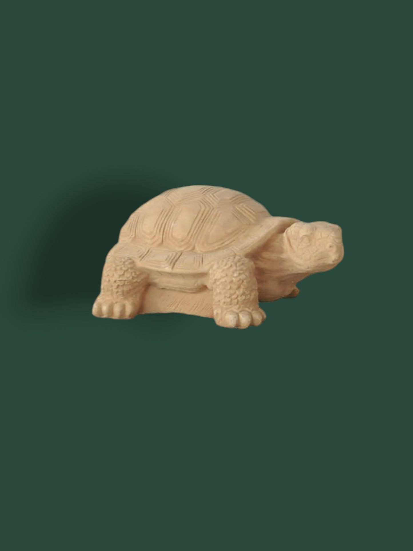 Statua Tartaruga Gigante in cemento 30 cm